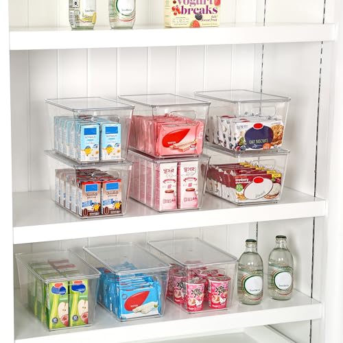 12 Pack Clear Stackable Storage Bins with Lids and Handles (M(10"L x 6"W x 5"H))