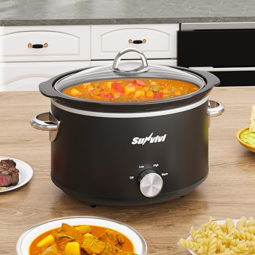 Small Slow Cooker 4QT
