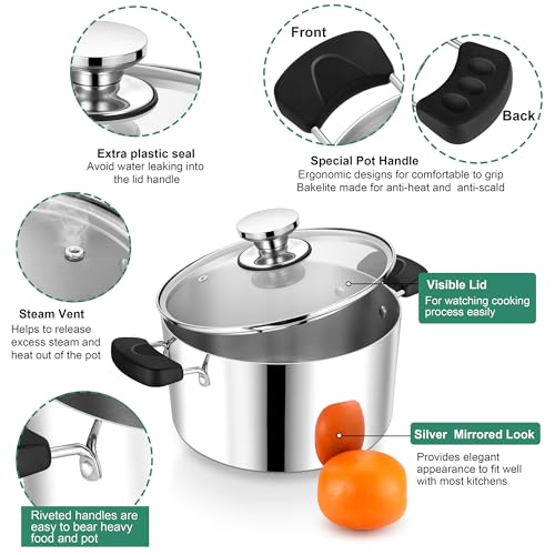 6 Qt Pot with Lid (6 Quarts)