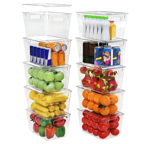 10 Pack Clear Storage Bins with Lids