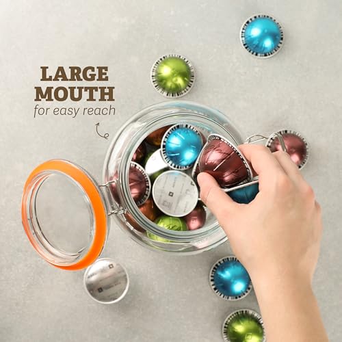 Large 1 Gallon Glass Mason Jar with Hinged Lids (1 Gallon)