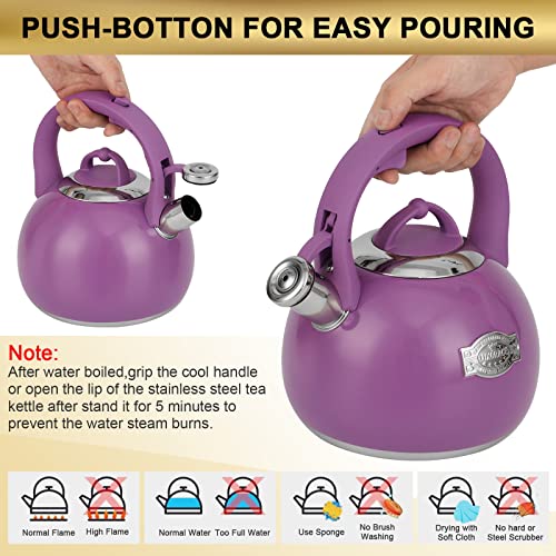 Tea Kettle for Stovetop (Purple)