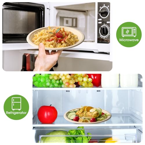150 Pack 10 inch Compostable Disposable Paper Plates for Party (10in-150natura)