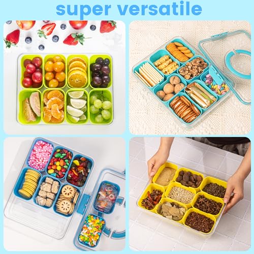 Divided Serving Tray with Lid and Handle (Cerulean-1 Pack)