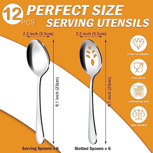 12 Piece Serving Spoons Set