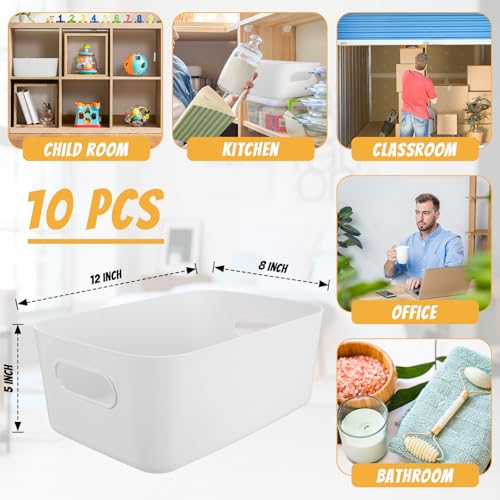White Plastic Storage Bins (White / 12 x 8 x 5 Inches)