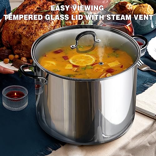 Professional 5 Quart Stainless Steel Stock Pot with Lid