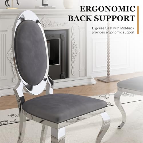 Modern Dining Chairs Set of 2 (Grey/Silver / Set of 2)