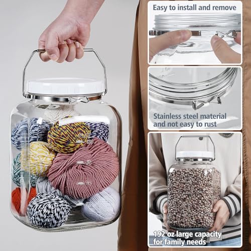 1.5 Gallon 5700 ML Glass Jar with Lid (1.5 Gallon)