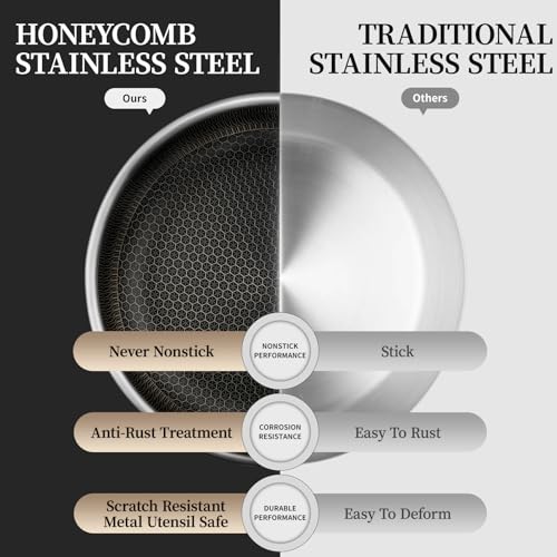 11" Stainless Steel Frying Pan with Lid (11 Inch)