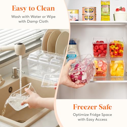 Chilled Condiment Caddy with 4 Compartment & Individual Lids (without Accessories / 4 Containers)