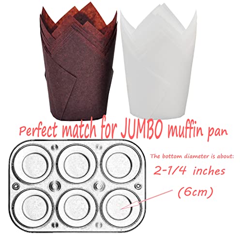 Large size White+Brown Tulip Baking Cups 2 (White&Brown)