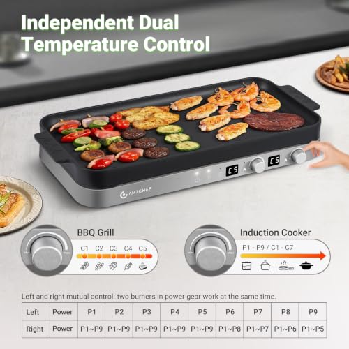 Double Induction Cooktop (Iron Grey)