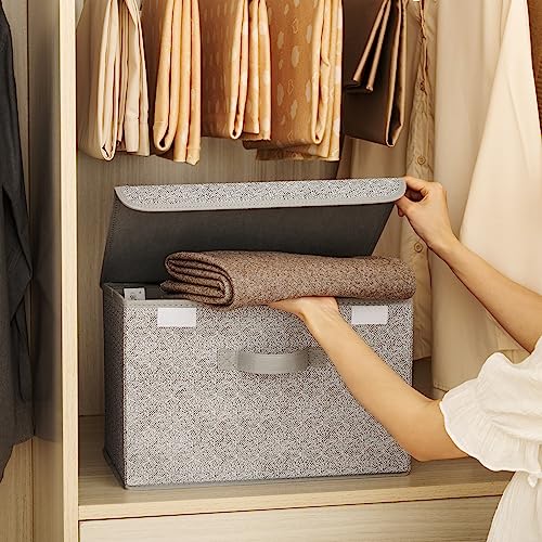 Storage Baskets with Lids (Ash Gray / Large-2 Pack)