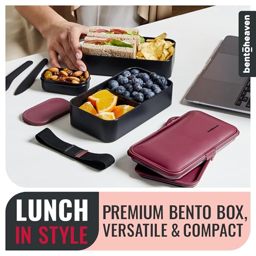 Bento Box Adult