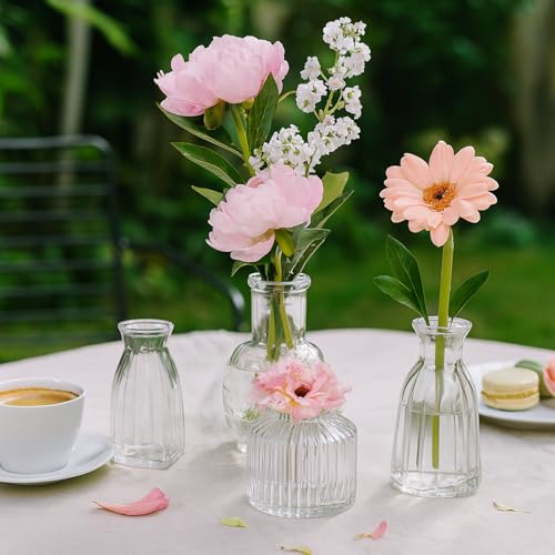 Glass Bud Vase Set of 16 Pcs