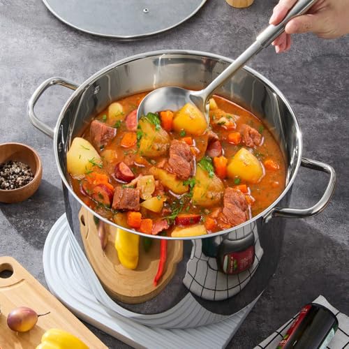 20 QT Stainless Steel Large Stock Pot (20 Quarts)