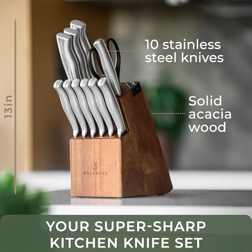 Knife Set 11pcs Kitchen Knife Set with Block and Integrated Sharpener
