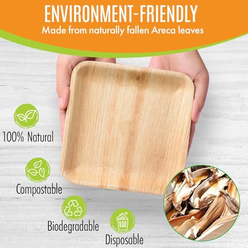 Raj Bamboo 6" Square Plates