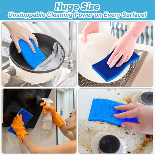 XL Sponges Kitchen 6Count (6 Count)