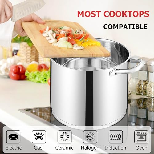 10 Quart Pot with Lid (10 Quarts)