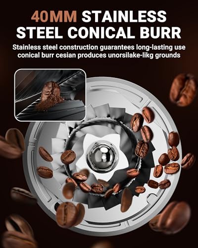 Burr Coffee Grinder (Metallic Silver)