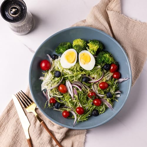 9.5'' Ceramic Large Pasta Bowls (Stone Blue(9.5inch))