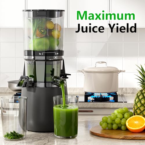 Cold Press Juicer (Grey)