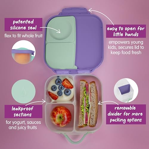 Mini Lunch Box