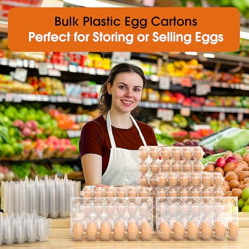 80 Pack Egg Cartons Cheap Bulk (3x4-80pcs)