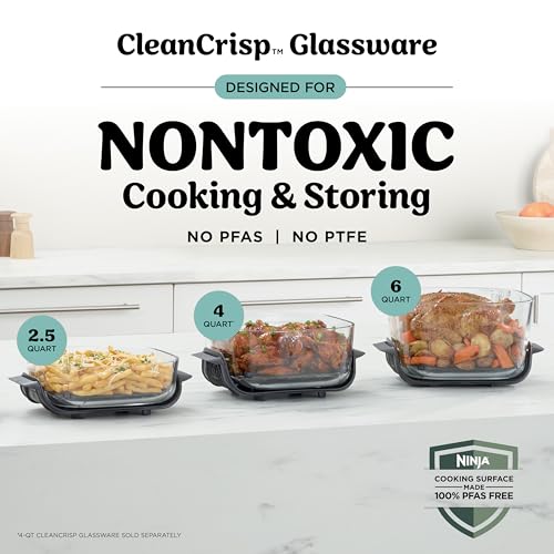 Crispi Pro Glass Air Fryer (Cyberspace)