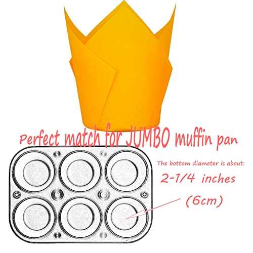 Orange color Large size Tulip Baking Cups 2 (Orange)