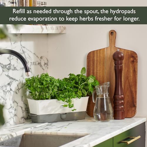 Burwell Self Watering Potted Herb Keeper (Triple Fresh Herb Keeper)
