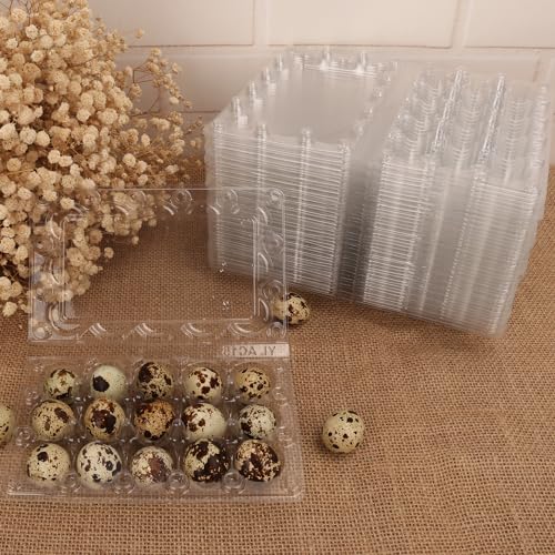 200 Pack Quail Egg Cartons (15 Grids)