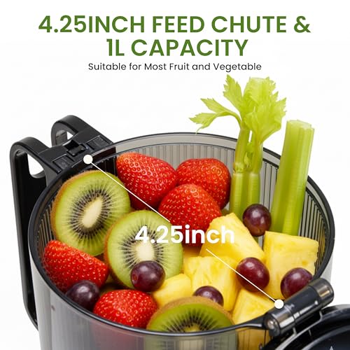 Cold Press Juicer (Silver / 200W)