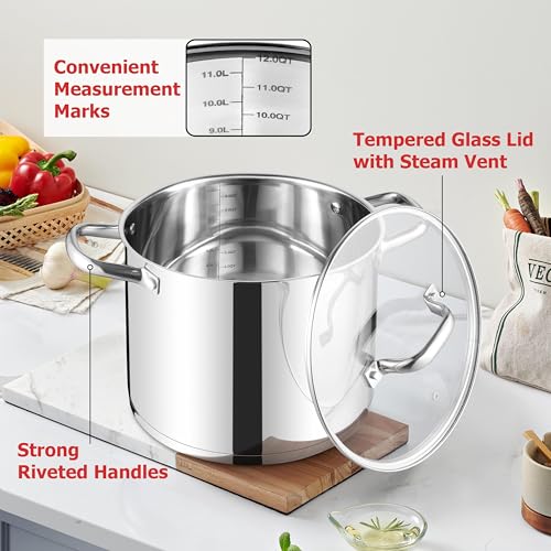 12 QT Stock Pot with Lid (12 Quarts)