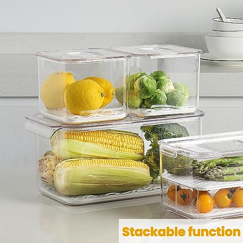 Fresh Produce Saver for Refrigerator (S+S+L)