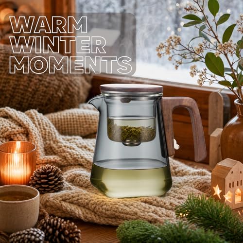 Magnetic Glass Teapot with Infuser (Square 750)