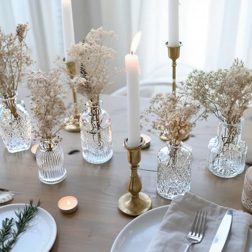Glass Bud Vase Set of 12 Pcs Small Minimalist Vases for Flowers (Clear)