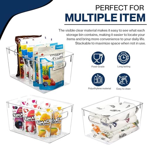 Clear Plastic Storage Bins with Lids (10 X 6 X 5)