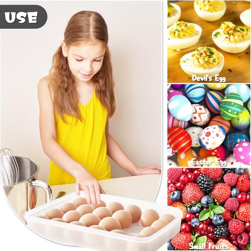 Deviled Egg Containers with Lid (2 Count)