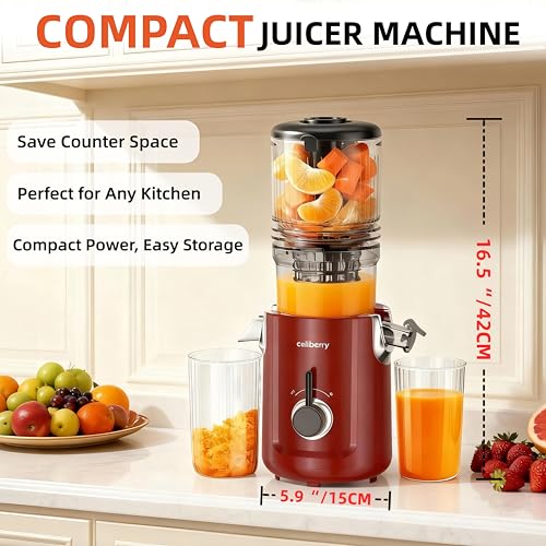 Cold Press Juicer Machines (Red)
