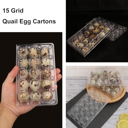 200 Pack Quail Egg Cartons (15 Grids)