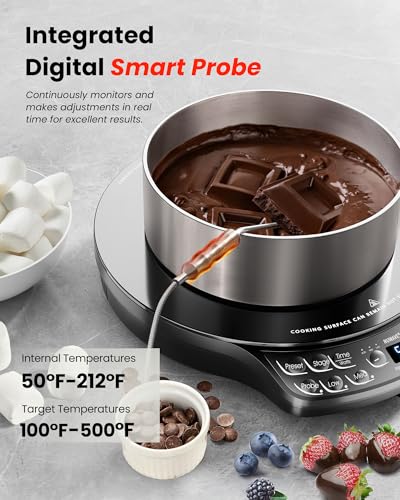 Portable Induction Cooktop Diamond with Probe (PIC Diamond)