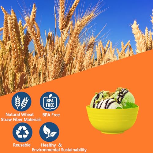 24 OZ Wheat Straw Cereal Bowls Set of 8 (Multicolor / 24 oz)