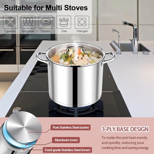 14 QT Stainless Steel Stock Pot with Lid (14 Quarts)