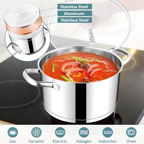 6 Quart Stock Pot with Lid
