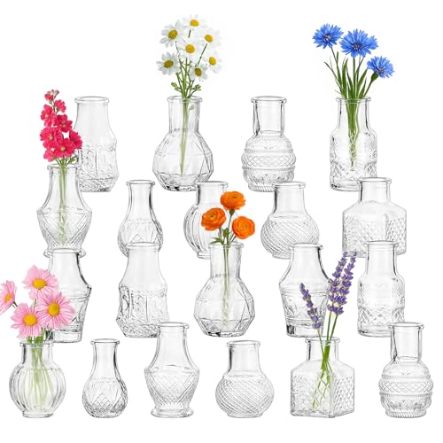 Glass Bud Vase Set of 20 Pcs