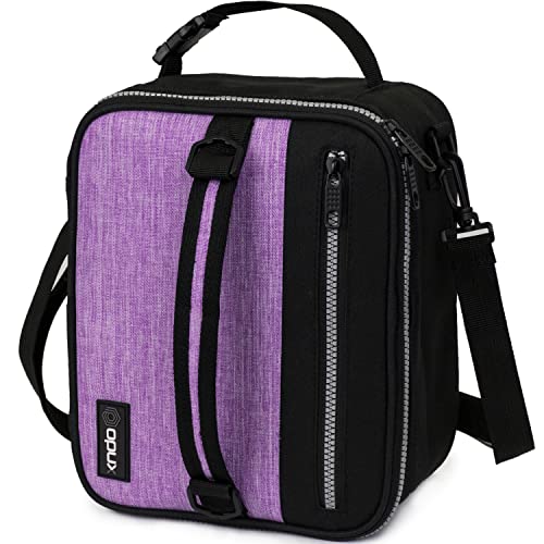 Insulated Lunch Bag for Men Women Kids