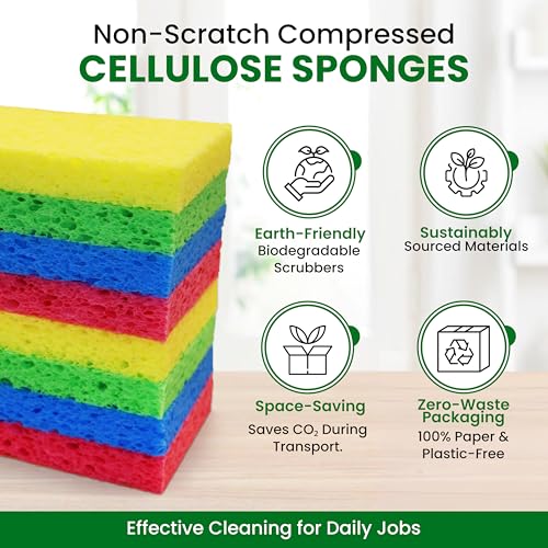 Cellulose Sponges (Multicolor)